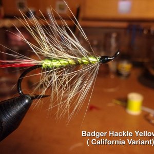 Badger Hackle Yellow
